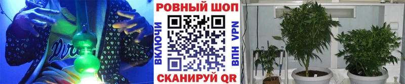 Бошки Шишки Салаир