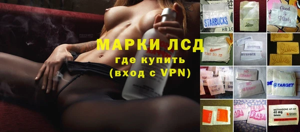 индика Балахна