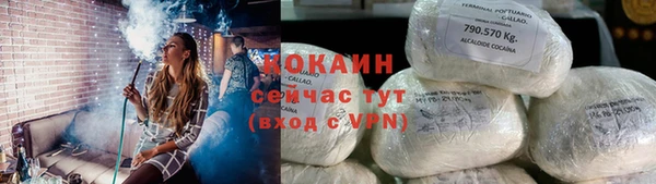 индика Балахна