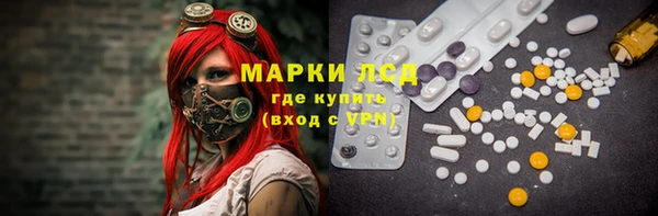 индика Балахна