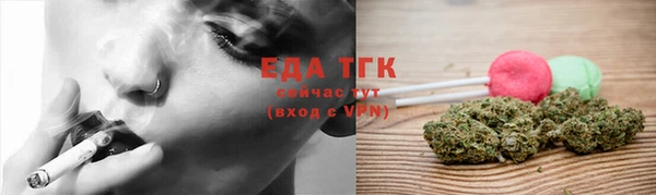 индика Балахна