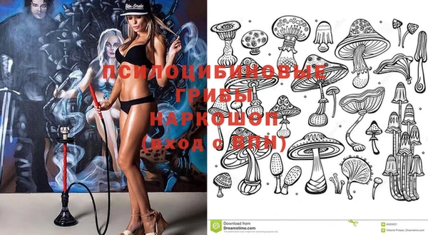 индика Балахна