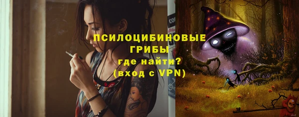 индика Балахна