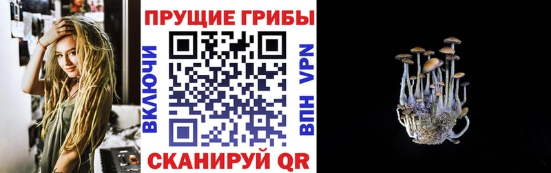 Псилоцибиновые грибы MAGIC MUSHROOMS  Салаир 